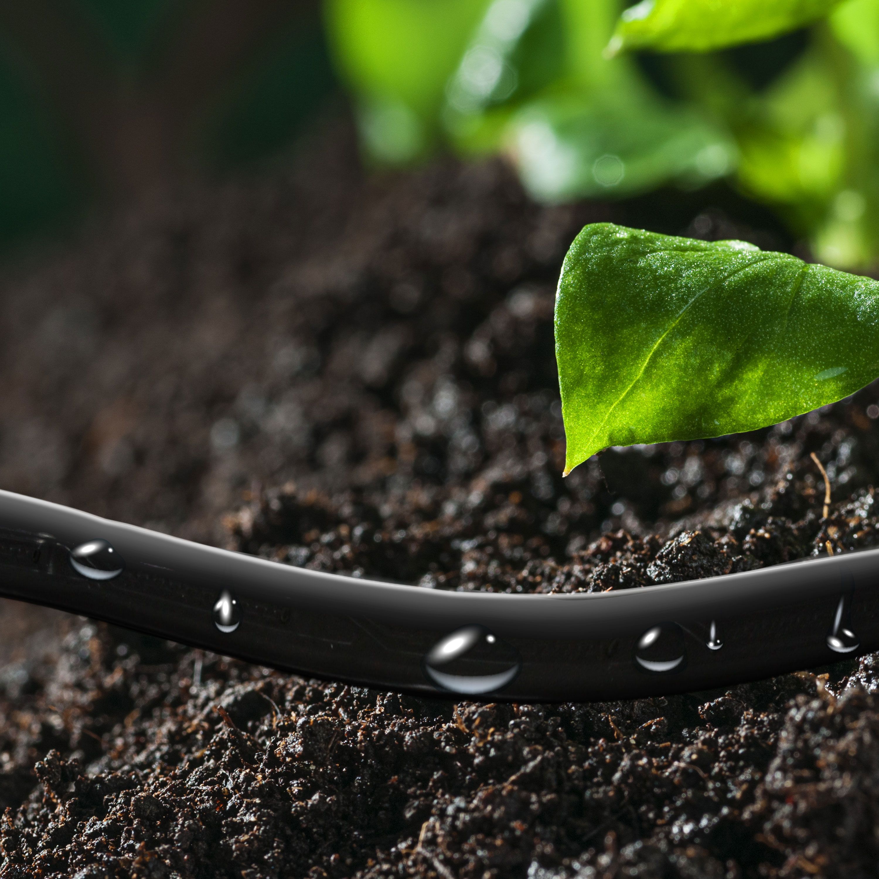 Irrigation