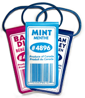 Rubber Band Tags