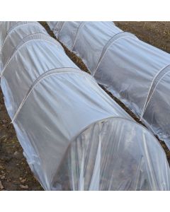 Green House Film - Clear 