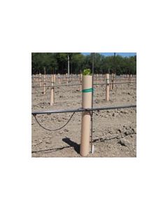 24" Tube Vine Protectors - Each