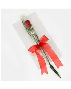 15" x 24" - Clear Sheets