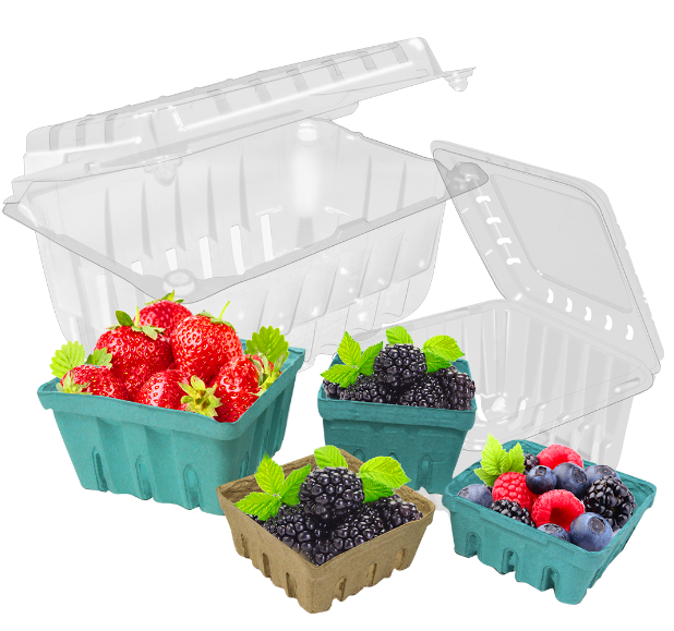 images of plastic clam shell containers filled with berries