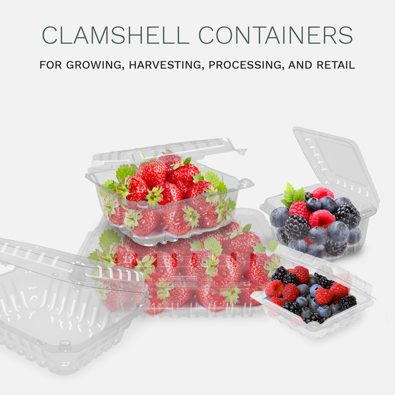 Clamshell Container