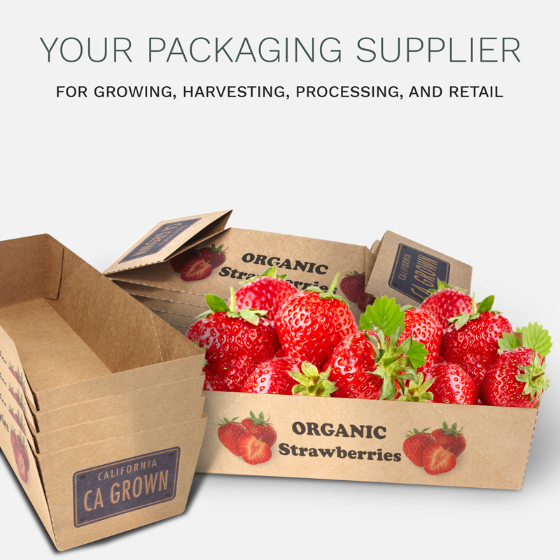 Your packaging supplier